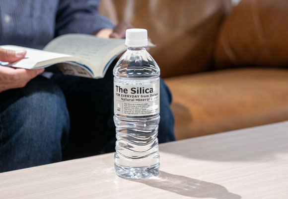 The Silica