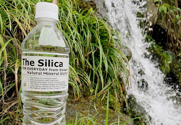 The Silica