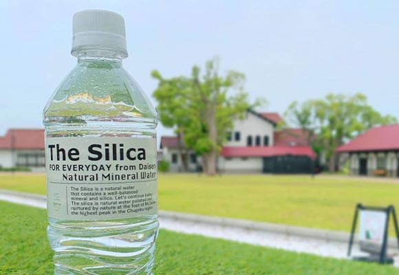 The Silica